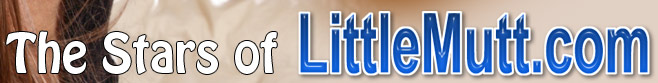 Tour LittleMutt and see all of our Stars