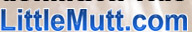 Tour LittleMutt and Find out what your missing!