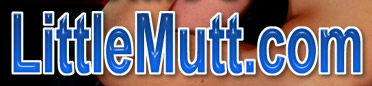 Take a tour of LittleMutt