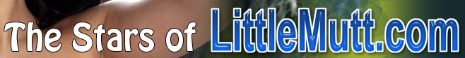 The Stars Of LittleMutt.com