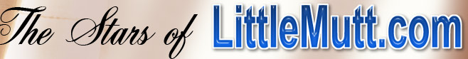 Visit LittleMutt.com Today