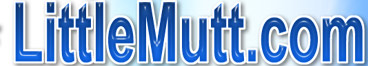 LittleMutt Fresh Young and Natural Girls