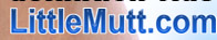 Take a tour of LittleMutt